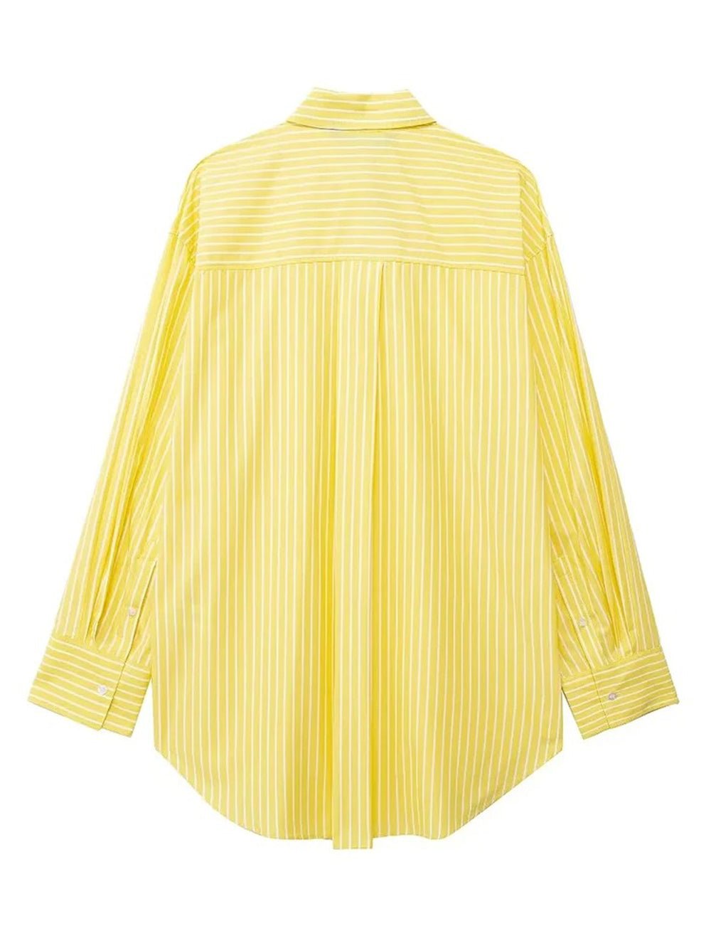 Aahana Shirt & Pant Set - Fashion Pov