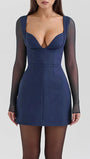 Ava Long Sleeve Mini Dress - Fashion Pov
