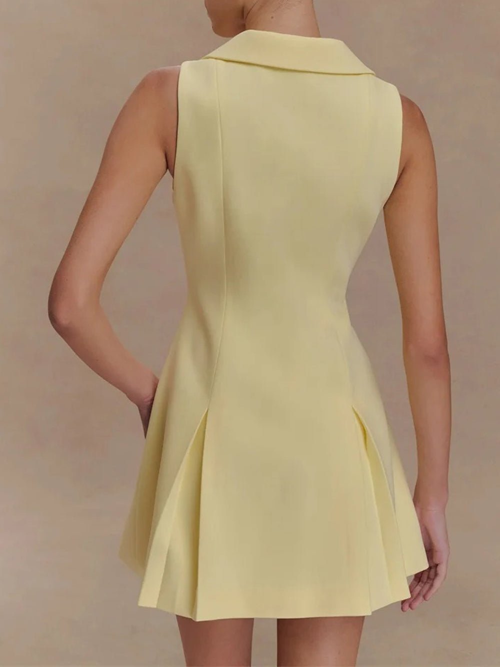 Rachel Sleeveless Mini Dress - Fashion Pov